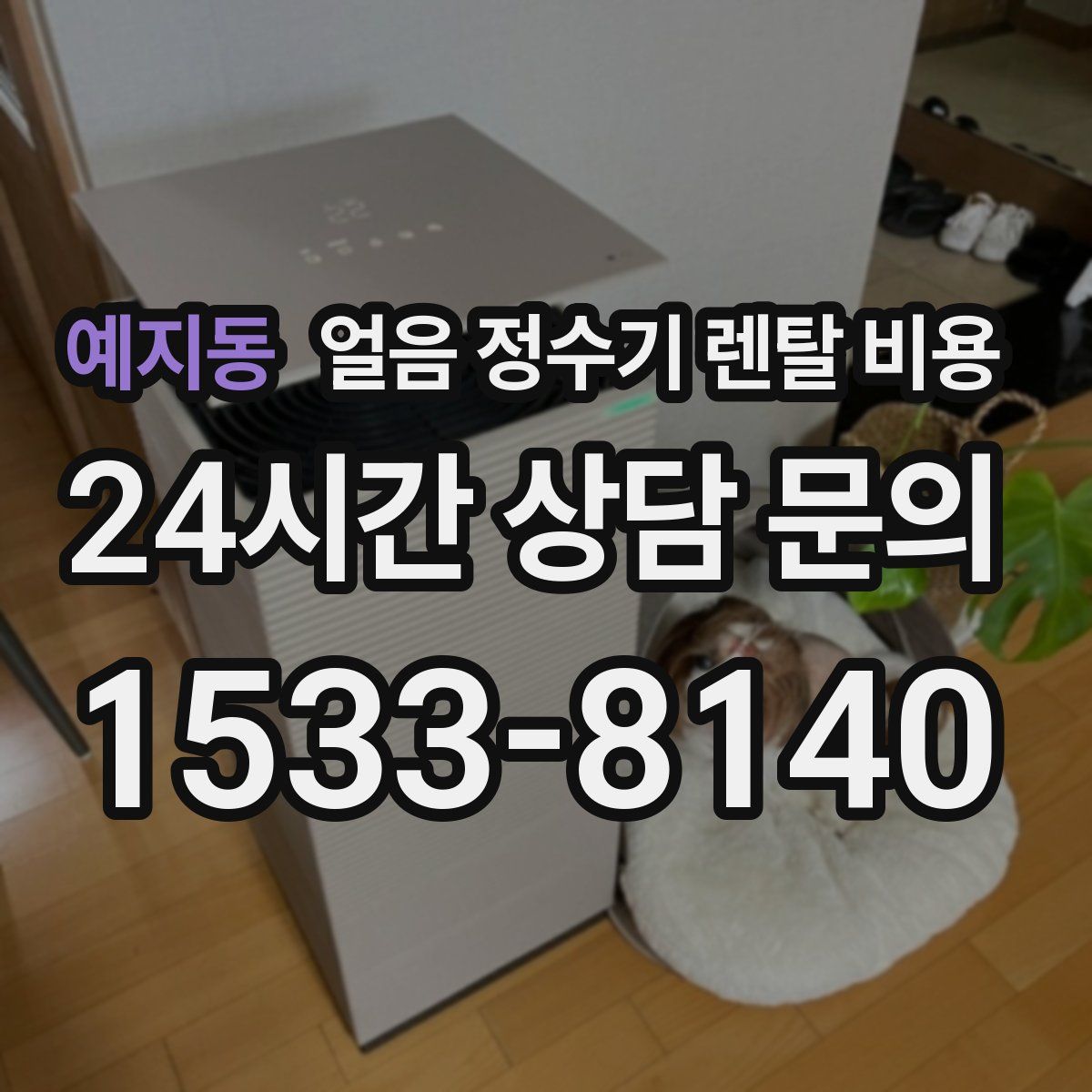 예지동 얼음 정수기 렌탈 비용