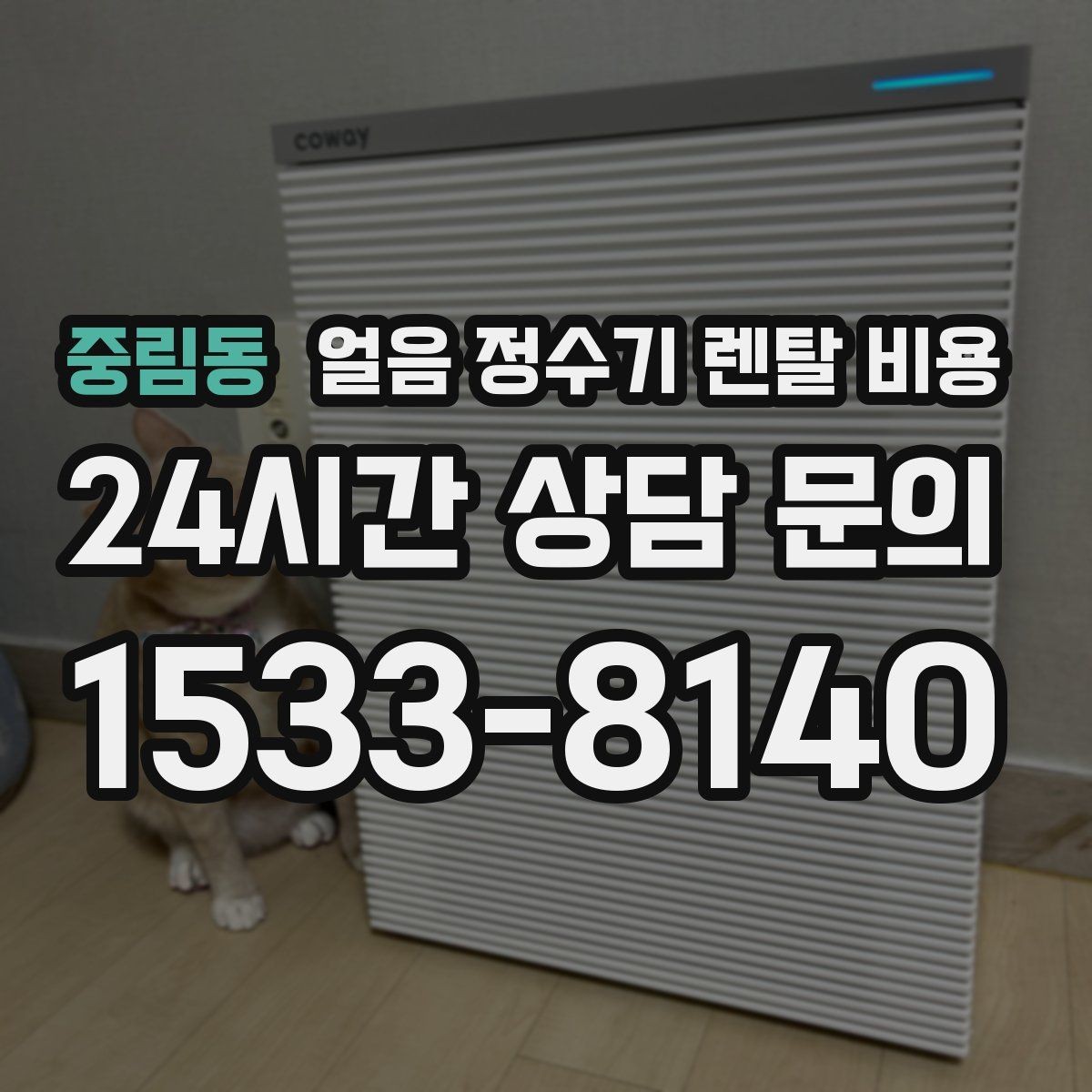 중림동 얼음 정수기 렌탈 비용 공간에 맞는 제품 고르는 방법
