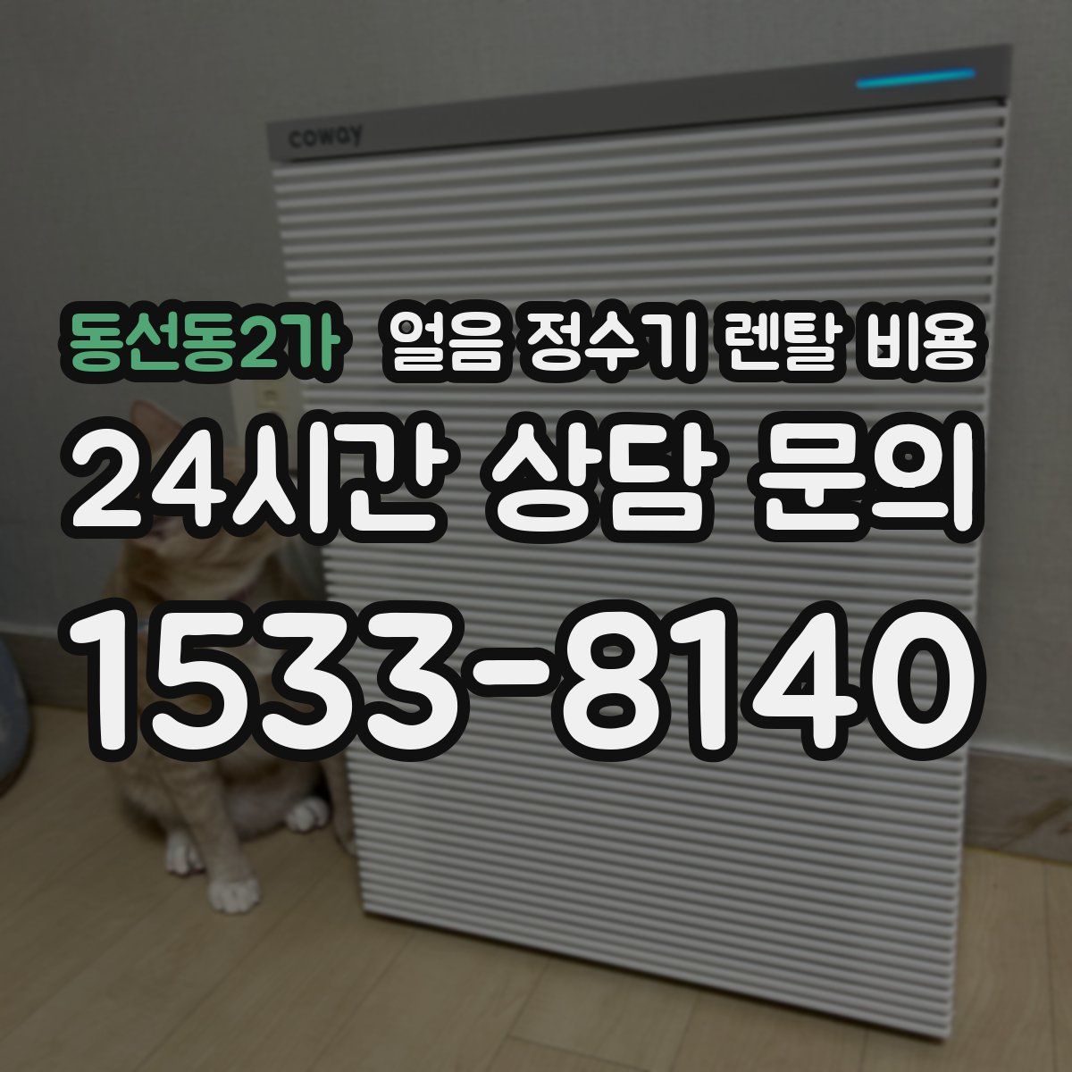 동선동2가 얼음 정수기 렌탈 비용