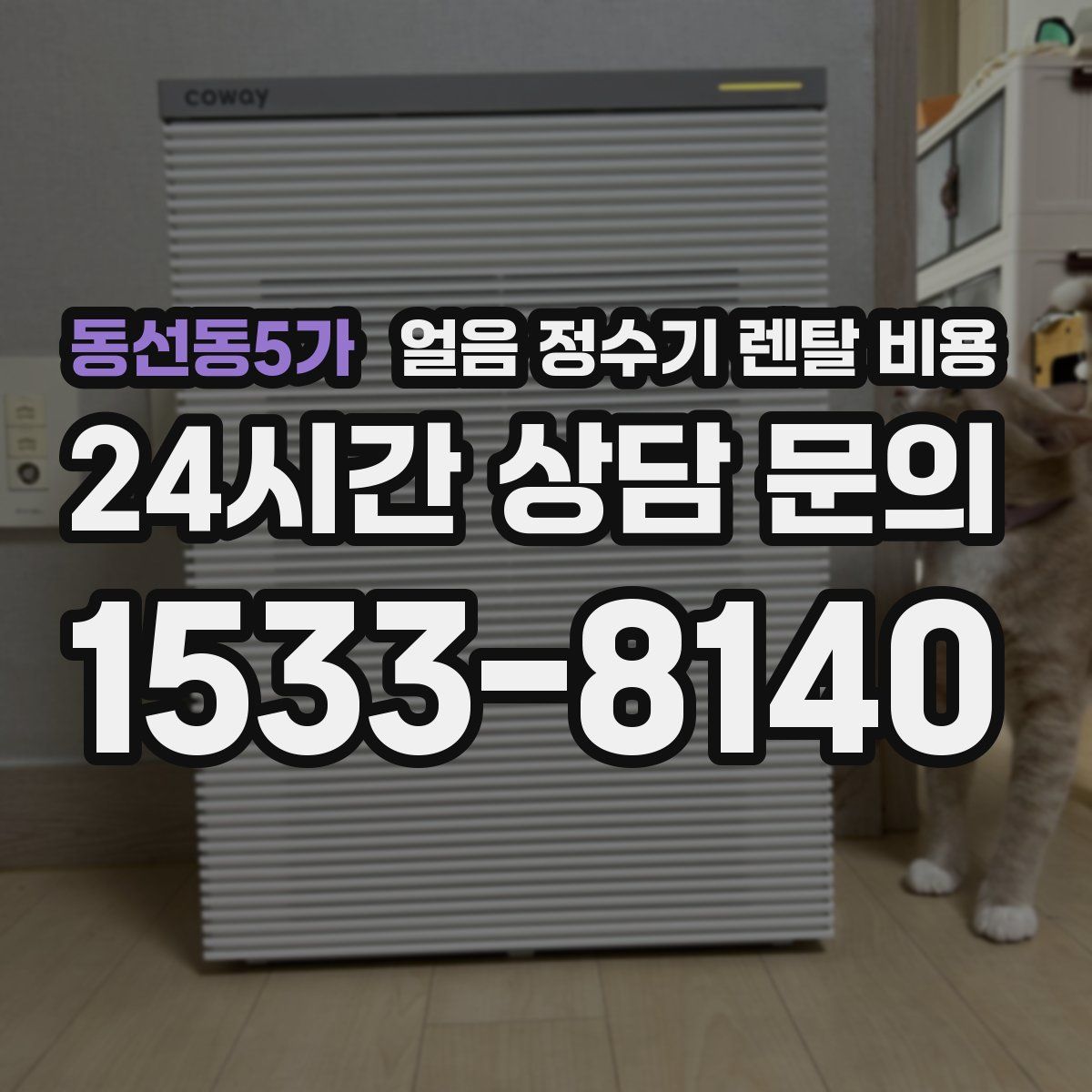 동선동5가 얼음 정수기 렌탈 비용