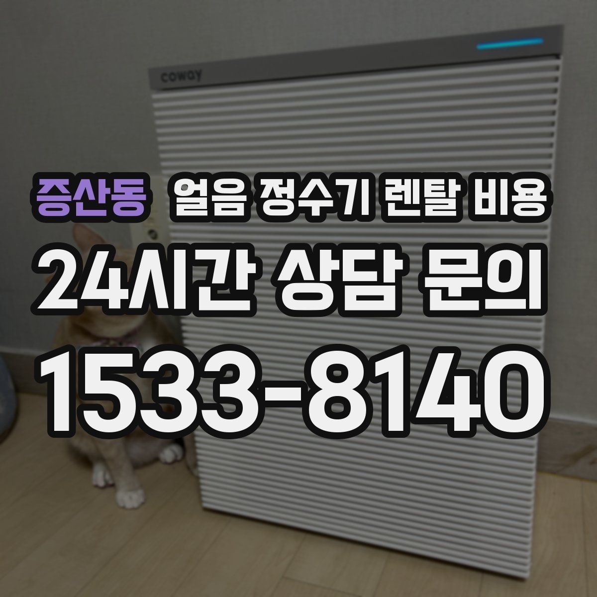 증산동 얼음 정수기 렌탈 비용 설치 후 후회 없는 선택 방법