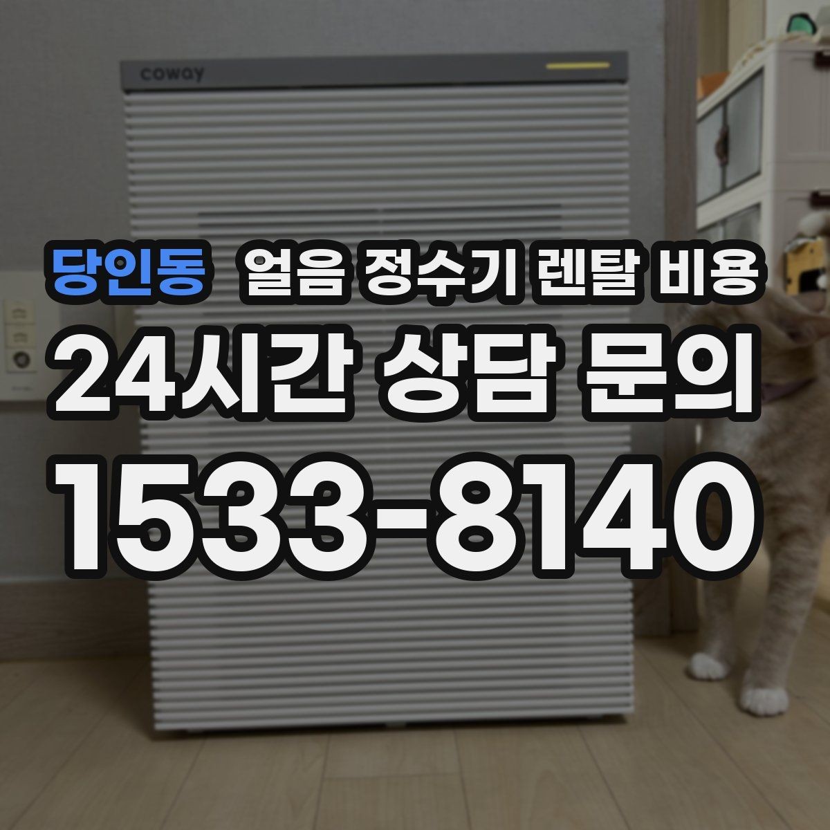 당인동 얼음 정수기 렌탈 비용 업소용과 가정용 차이 정리
