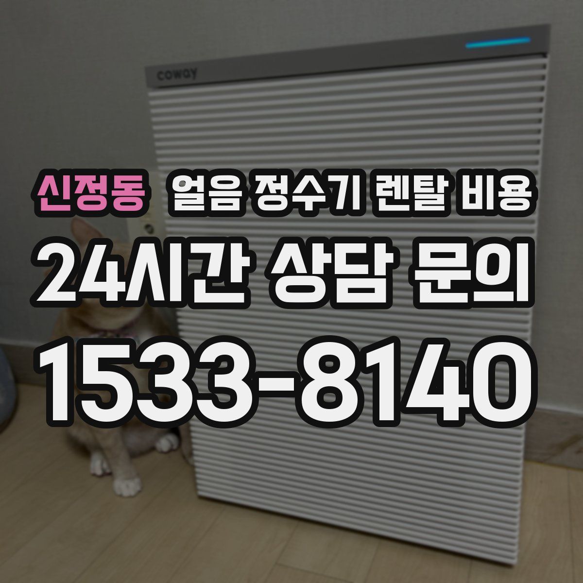 신정동 얼음 정수기 렌탈 비용