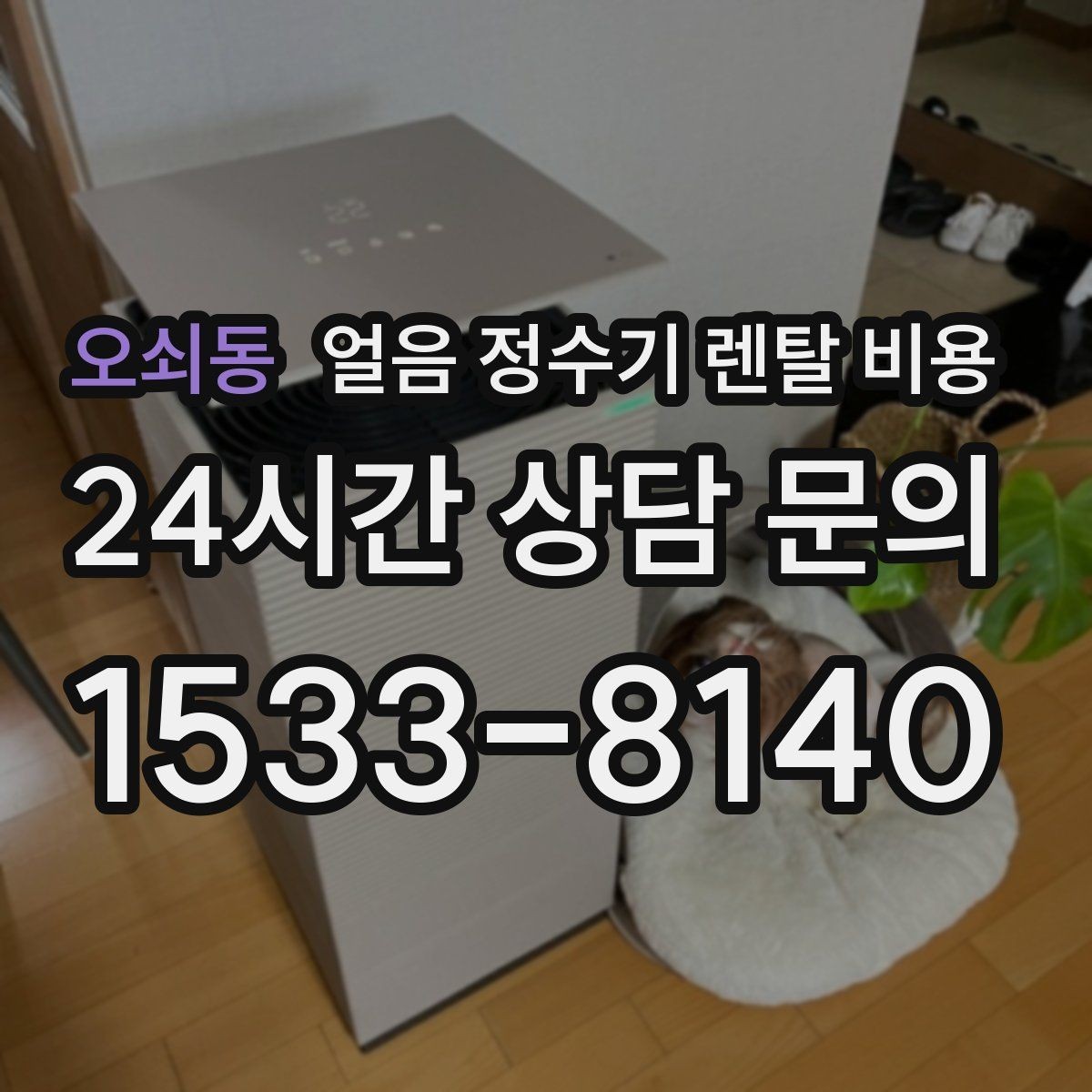 오쇠동 얼음 정수기 렌탈 비용 부모님 사용 고려한 선택 기준