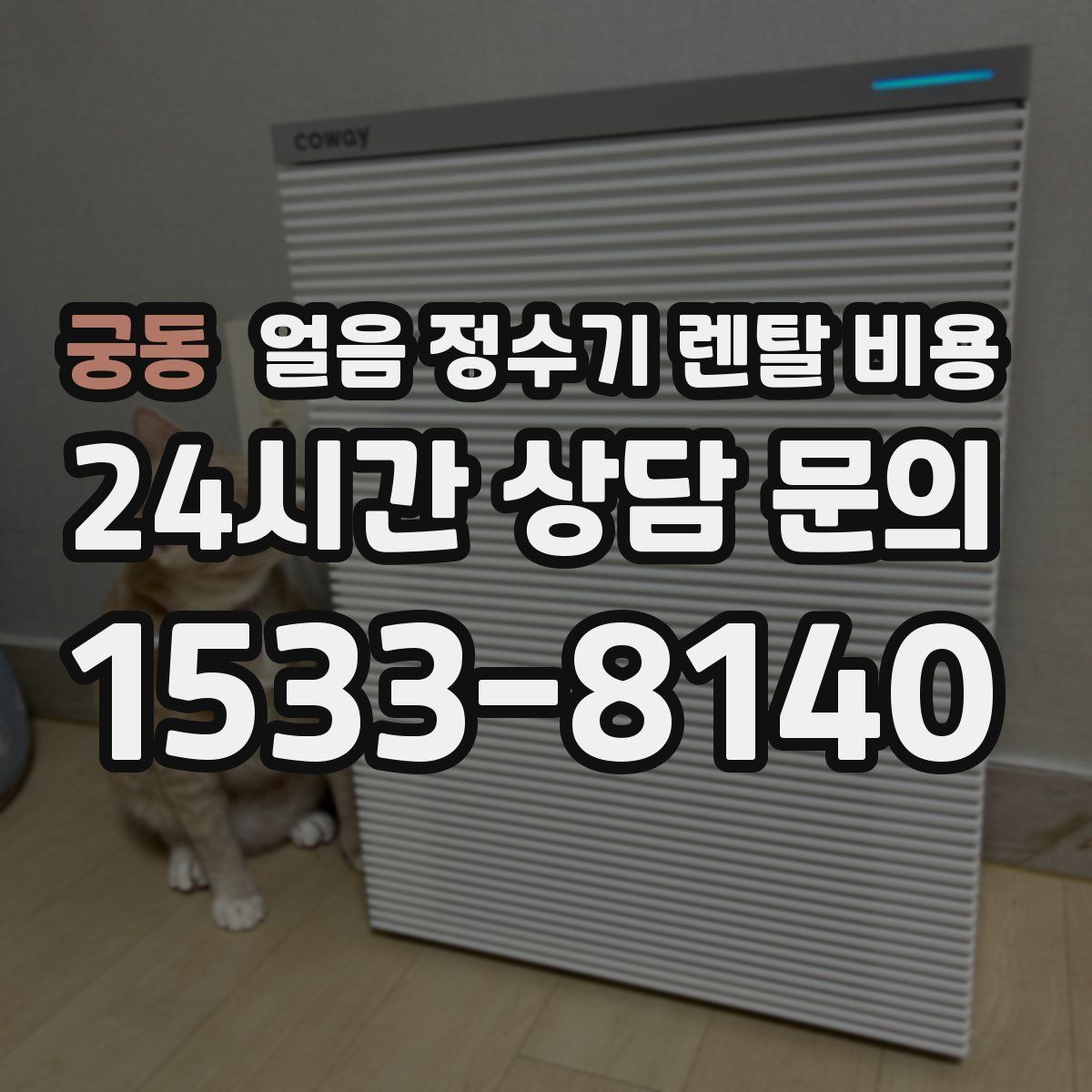 궁동 얼음 정수기 렌탈 비용