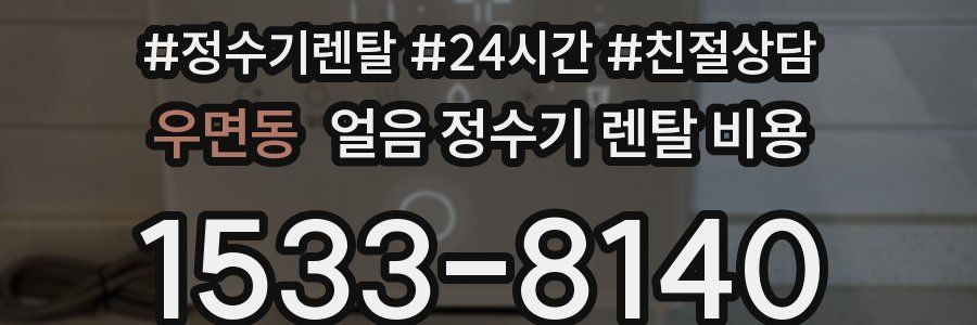우면동 얼음 정수기 렌탈 비용
