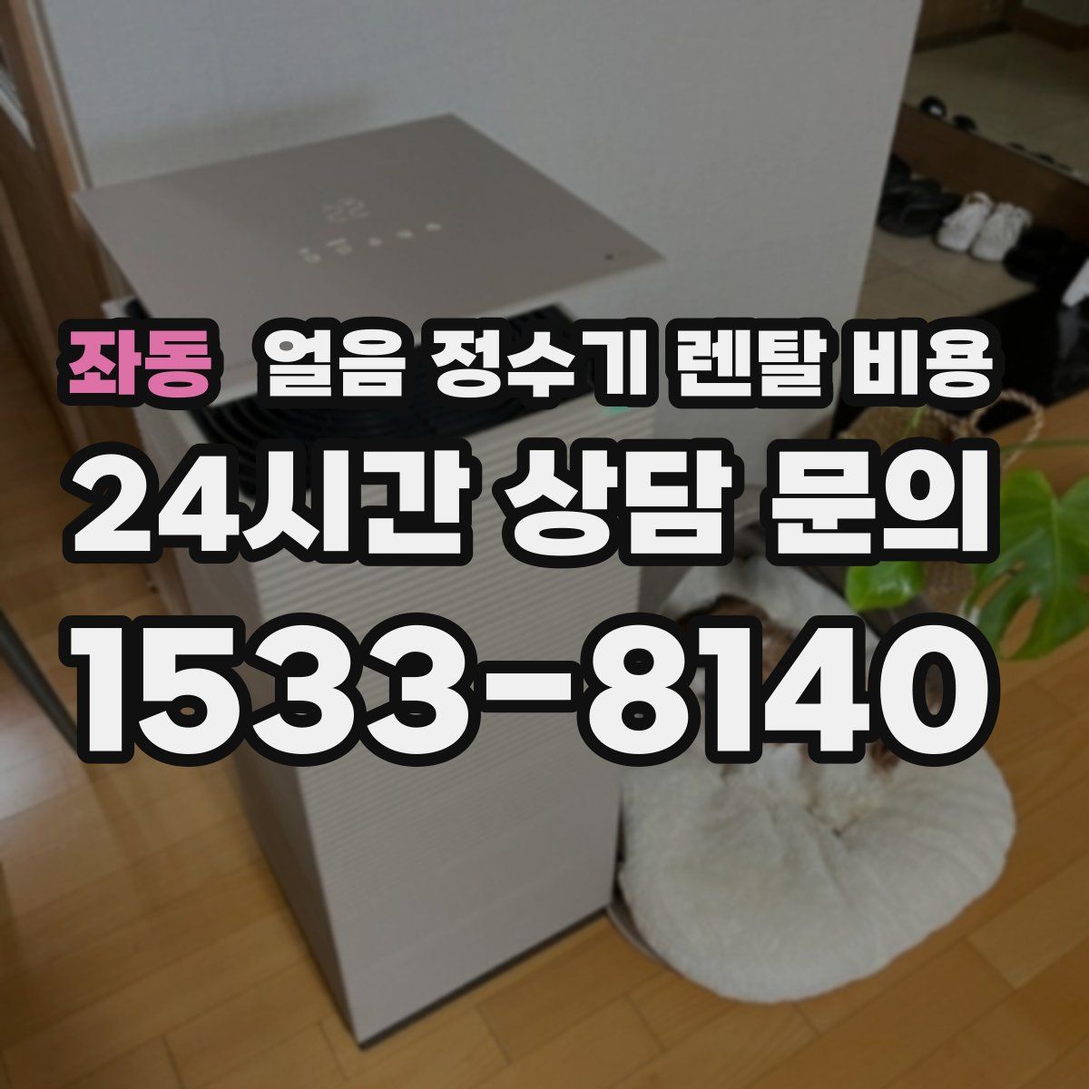 좌동 얼음 정수기 렌탈 비용