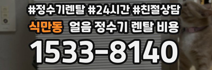 식만동 얼음 정수기 렌탈 비용