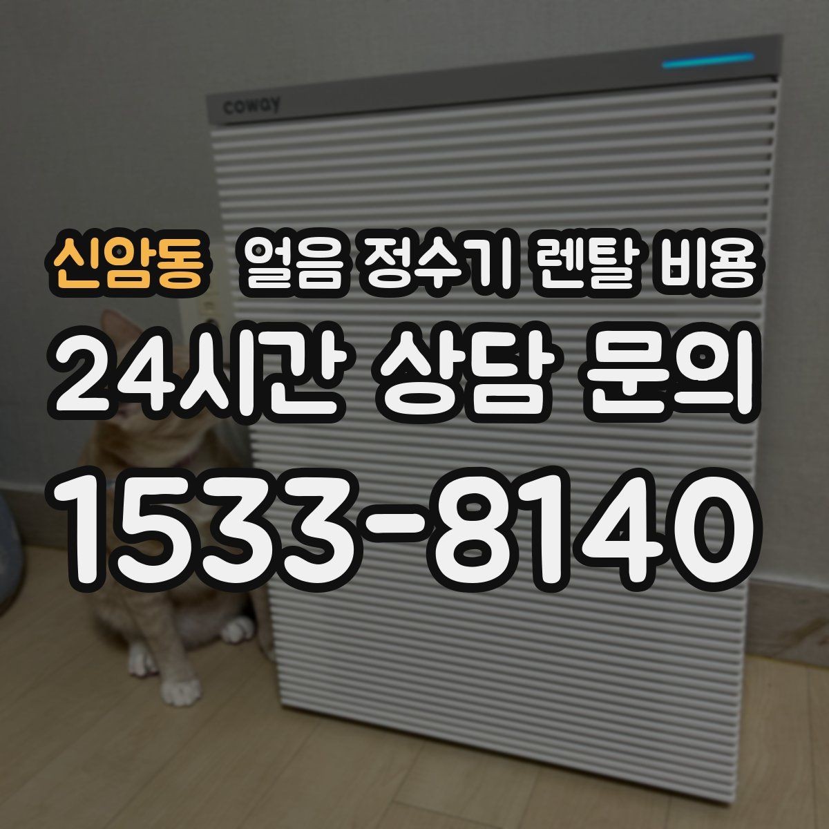 신암동 얼음 정수기 렌탈 비용 브랜드보다 중요한 선택 기준