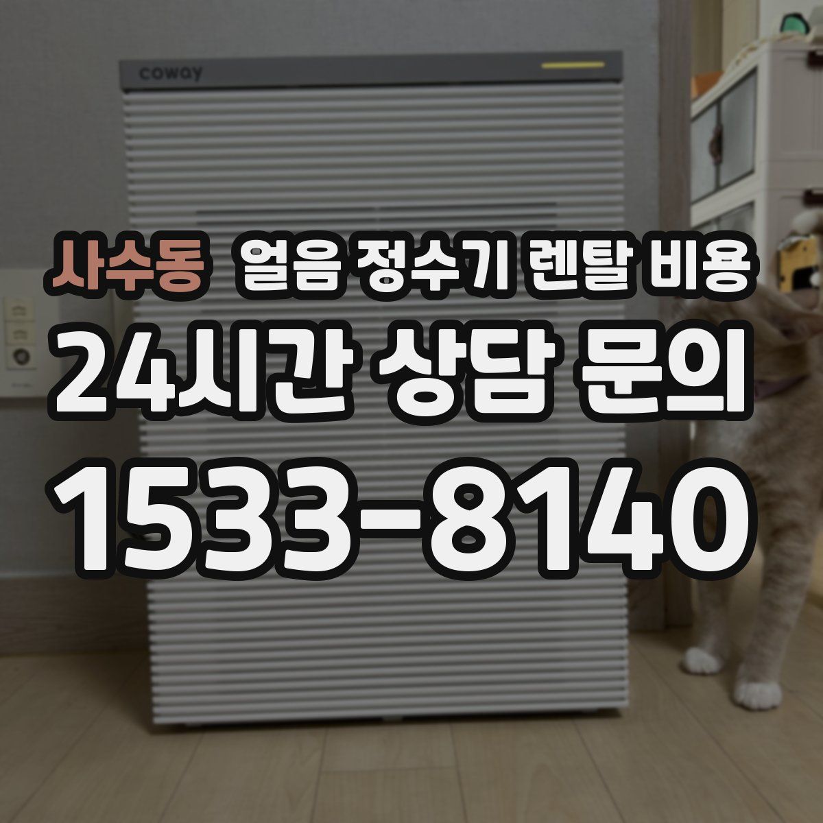 사수동 얼음 정수기 렌탈 비용