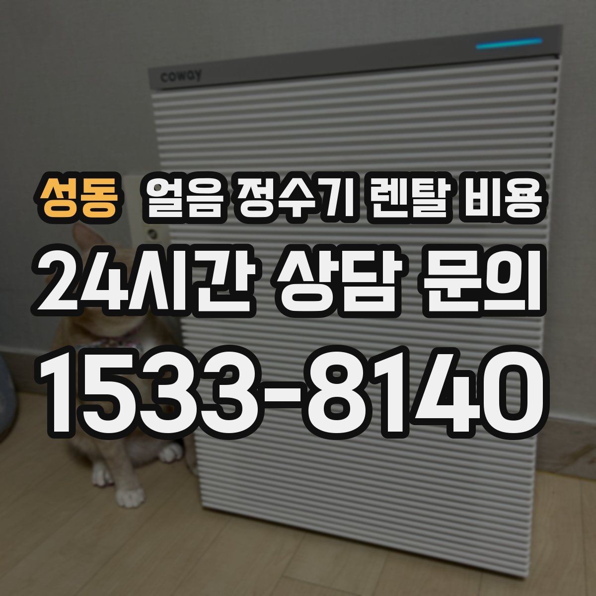 성동 얼음 정수기 렌탈 비용 선택 전 비교 질문 정리