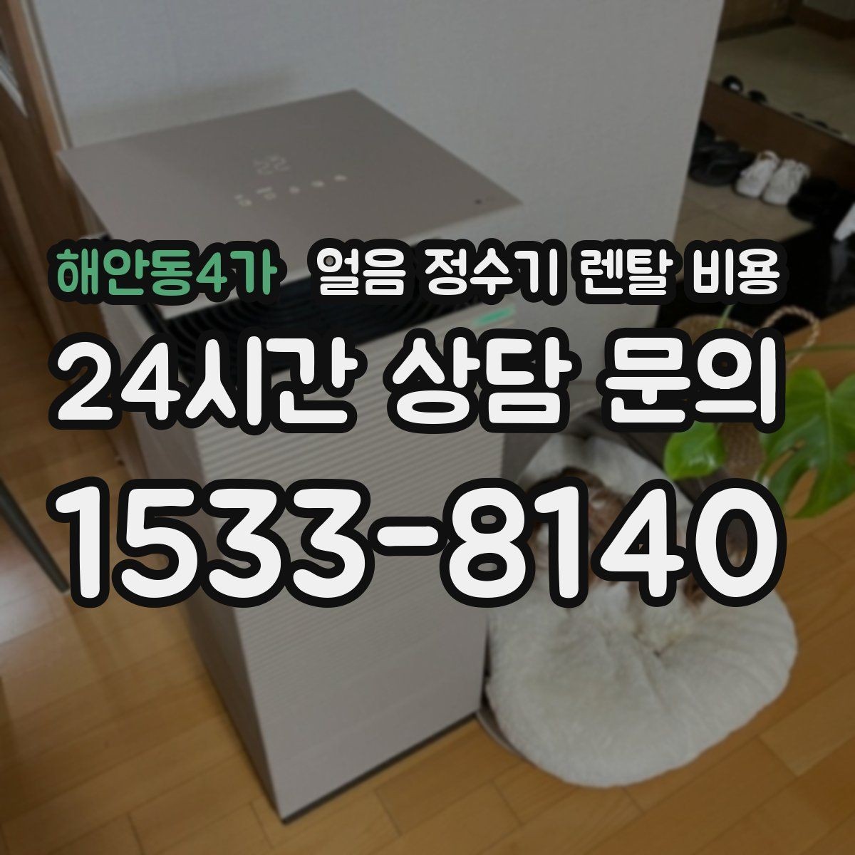 해안동4가 얼음 정수기 렌탈 비용 살균 기능 중요성 정리