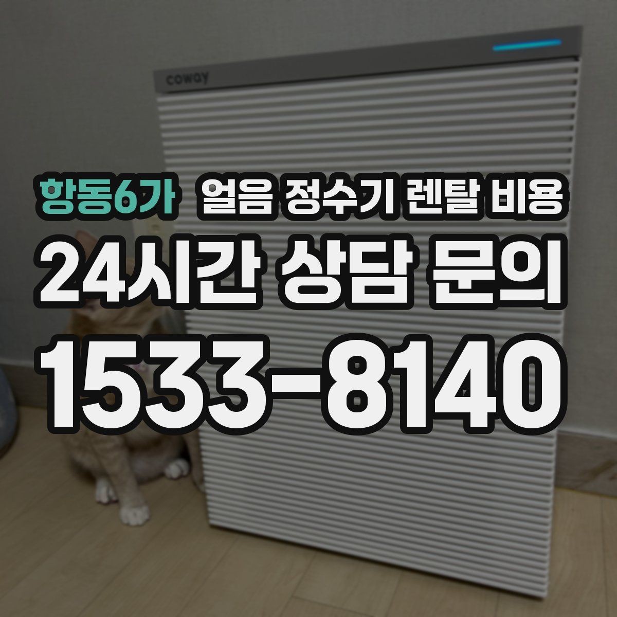 항동6가 얼음 정수기 렌탈 비용 싱크대형과 스탠드형 차이