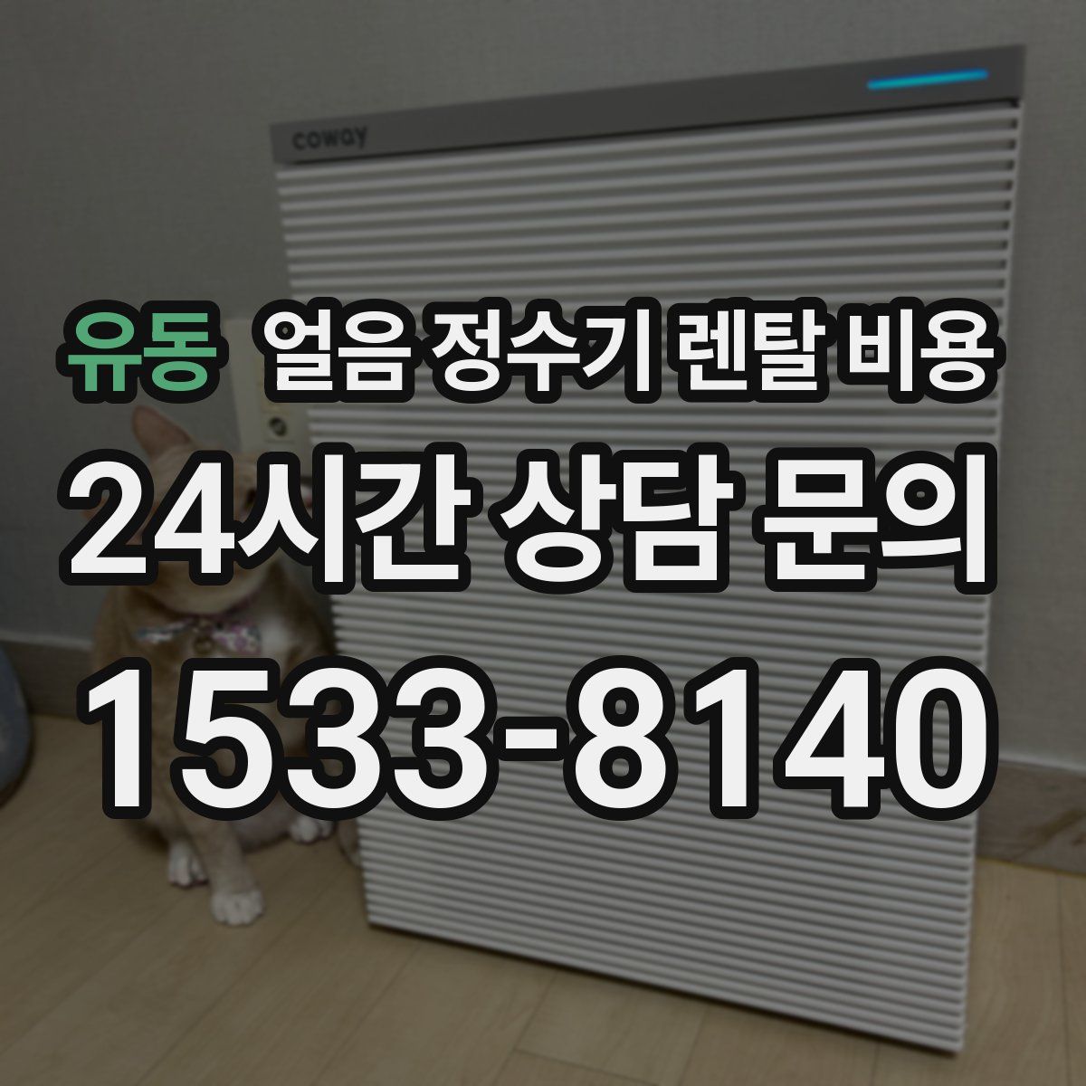 유동 얼음 정수기 렌탈 비용