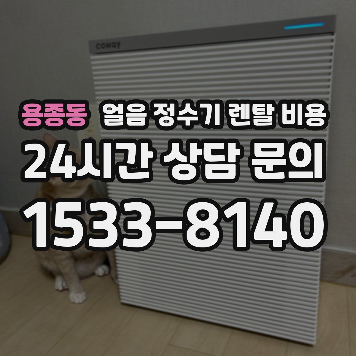 용종동 얼음 정수기 렌탈 비용