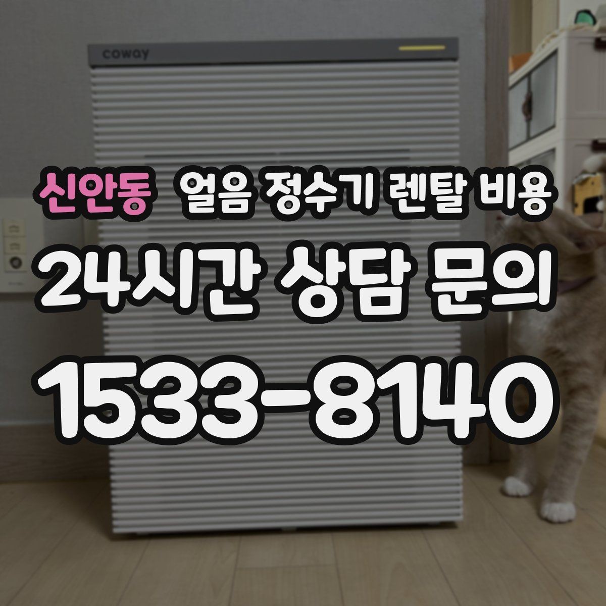 신안동 얼음 정수기 렌탈 비용 전기료까지 고려해야 하는 이유