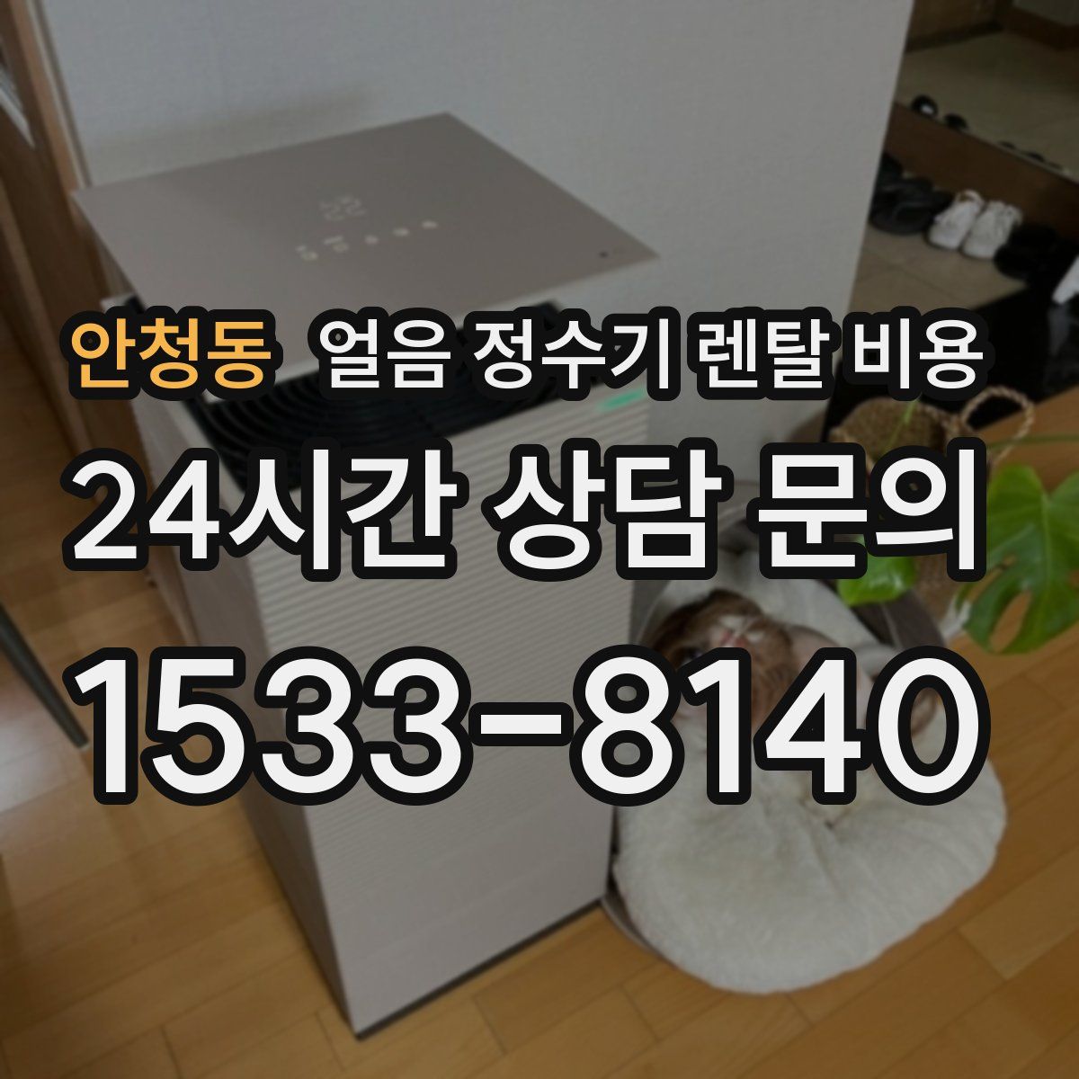 안청동 얼음 정수기 렌탈 비용