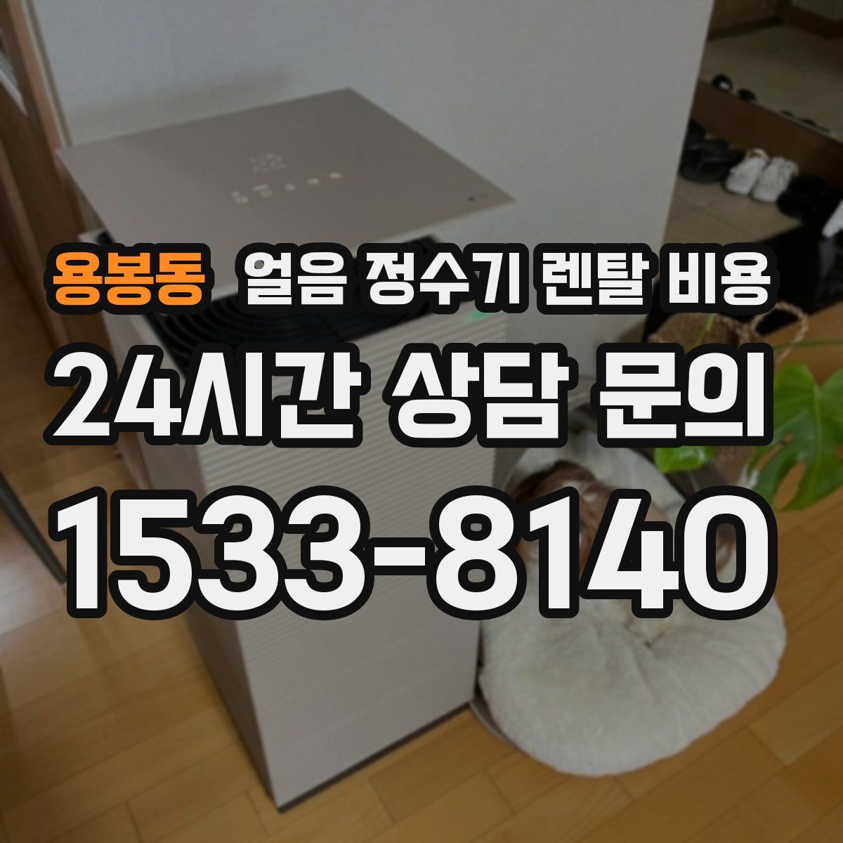 용봉동 얼음 정수기 렌탈 비용