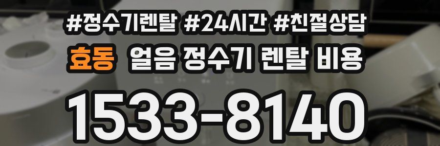 효동 얼음 정수기 렌탈 비용