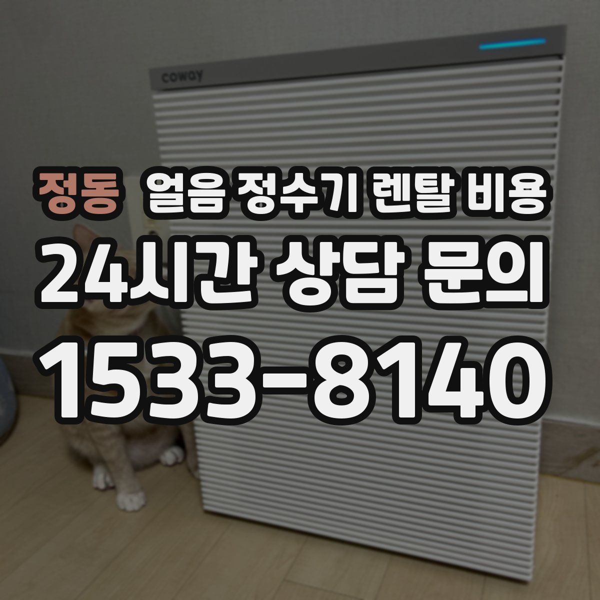 정동 얼음 정수기 렌탈 비용