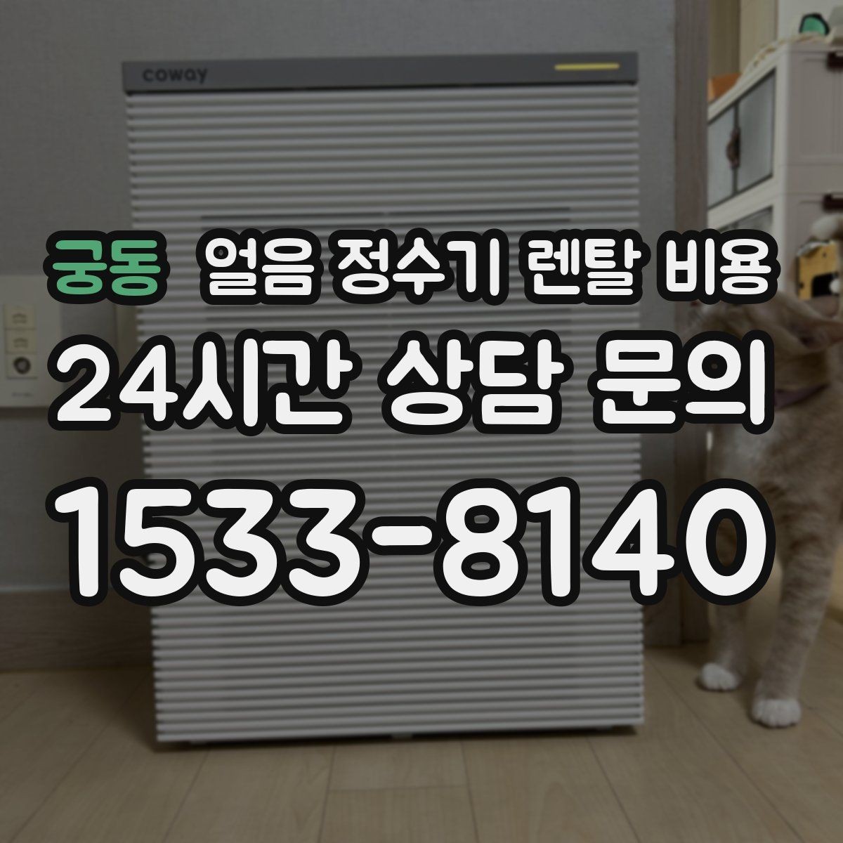 궁동 얼음 정수기 렌탈 비용 얼음 사용량으로 선택 기준 정리