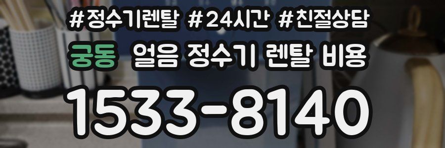 궁동 얼음 정수기 렌탈 비용