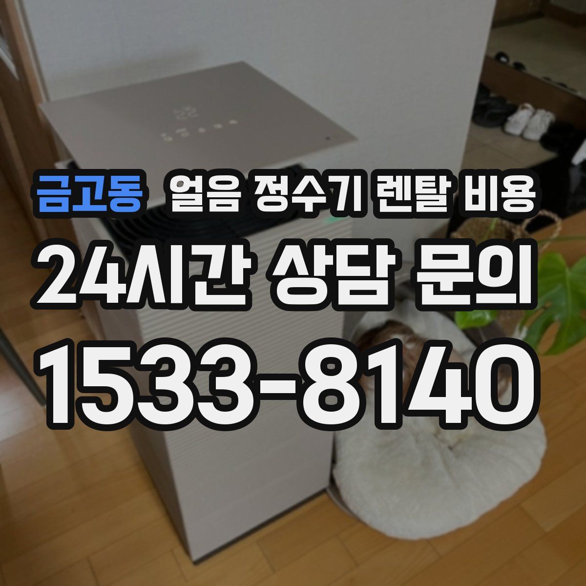 금고동 얼음 정수기 렌탈 비용