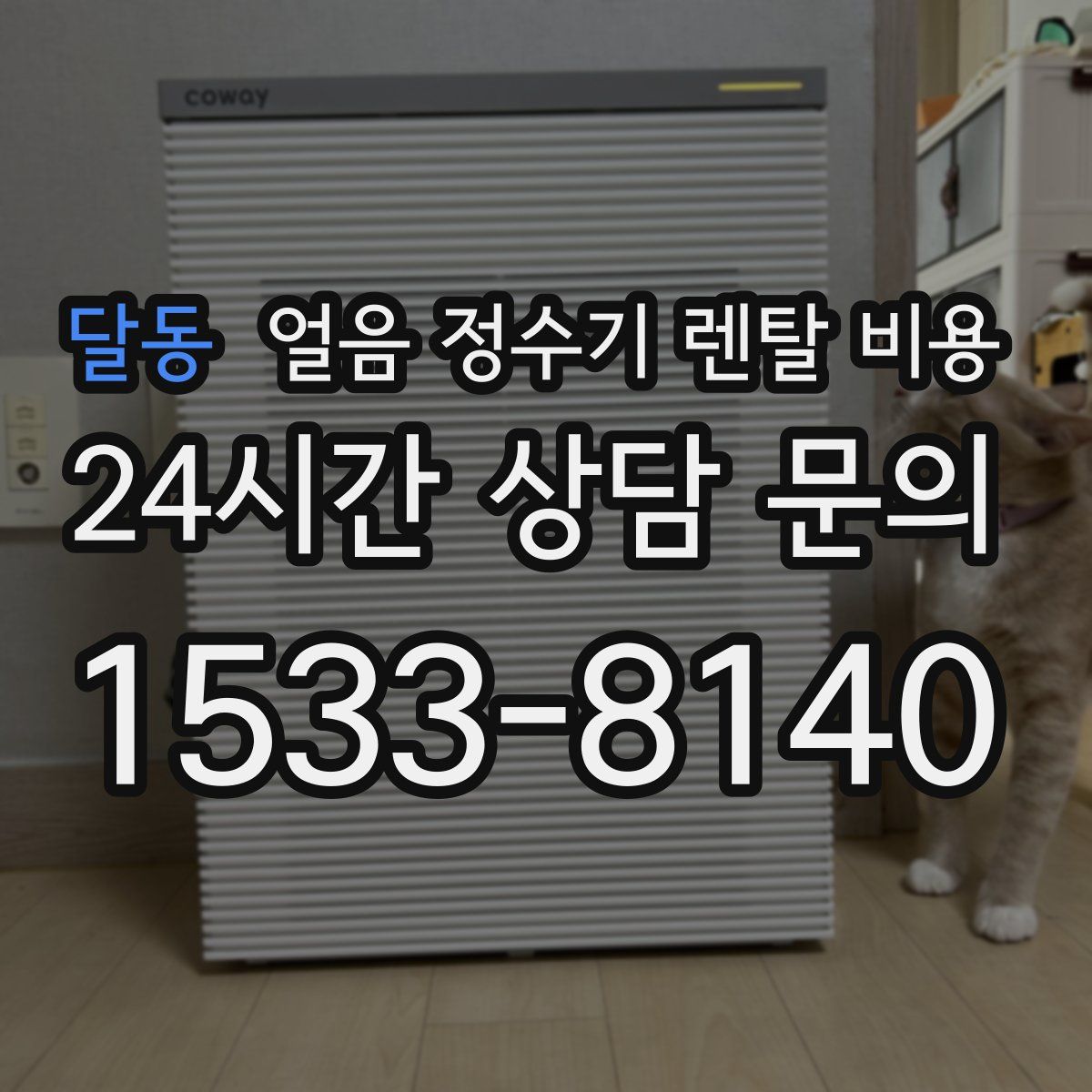 달동 얼음 정수기 렌탈 비용