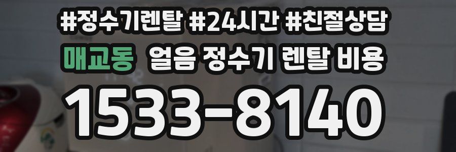 매교동 얼음 정수기 렌탈 비용