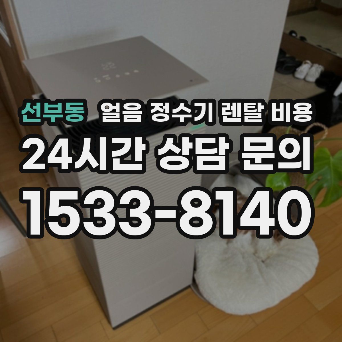 선부동 얼음 정수기 렌탈 비용