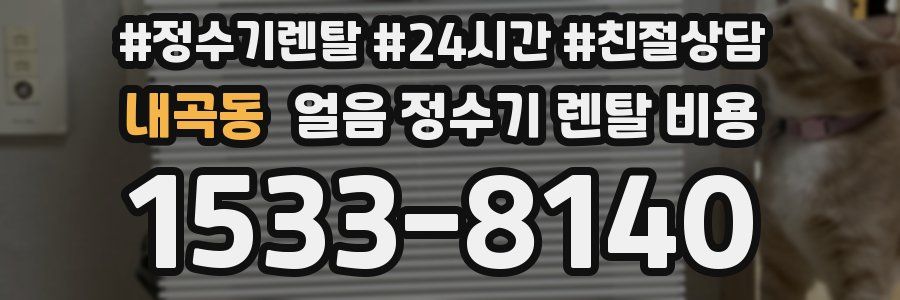 내곡동 얼음 정수기 렌탈 비용