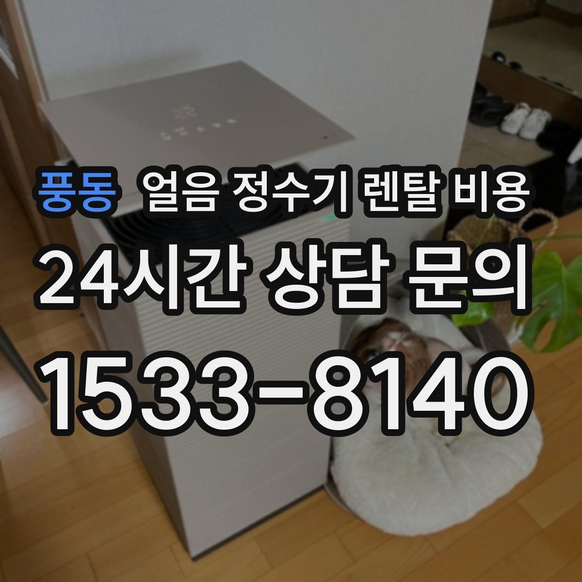 풍동 얼음 정수기 렌탈 비용 보급형으로 충분한 경우 정리