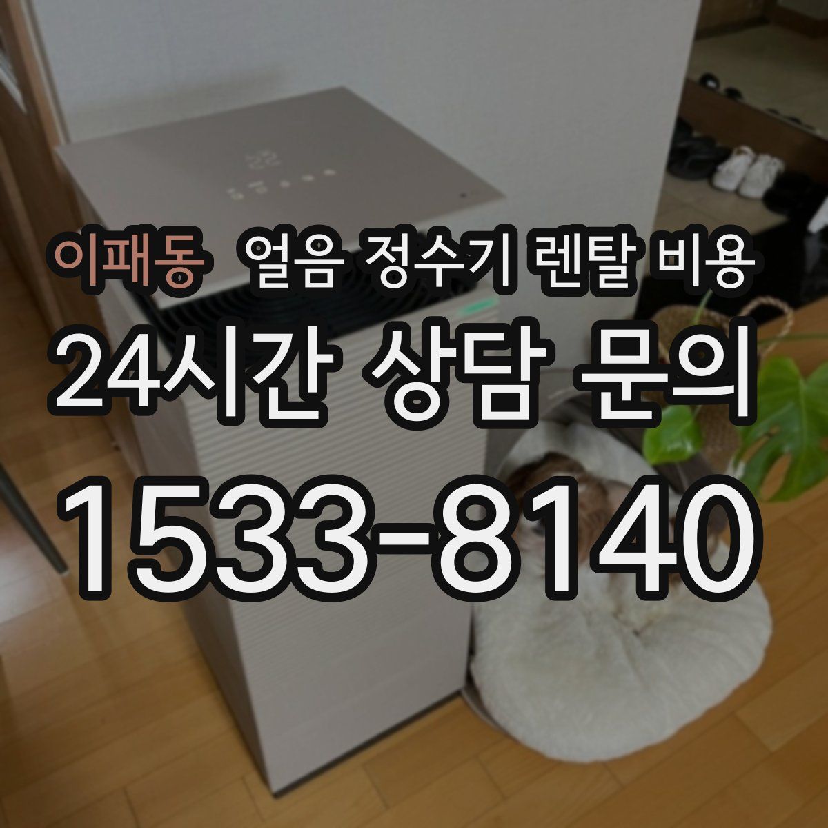 이패동 얼음 정수기 렌탈 비용