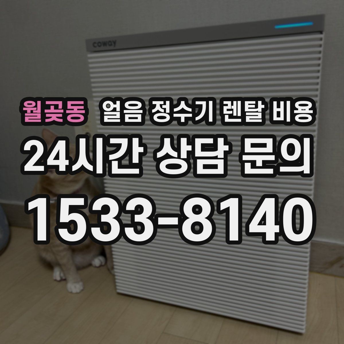 월곶동 얼음 정수기 렌탈 비용 후기 볼 때 체크해야 할 포인트
