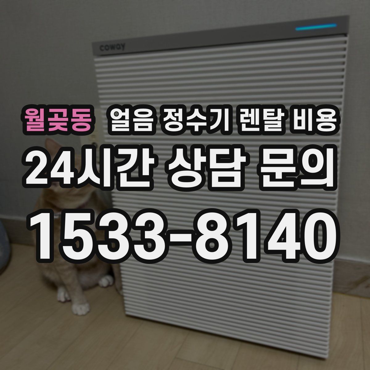 월곶동 얼음 정수기 렌탈 비용