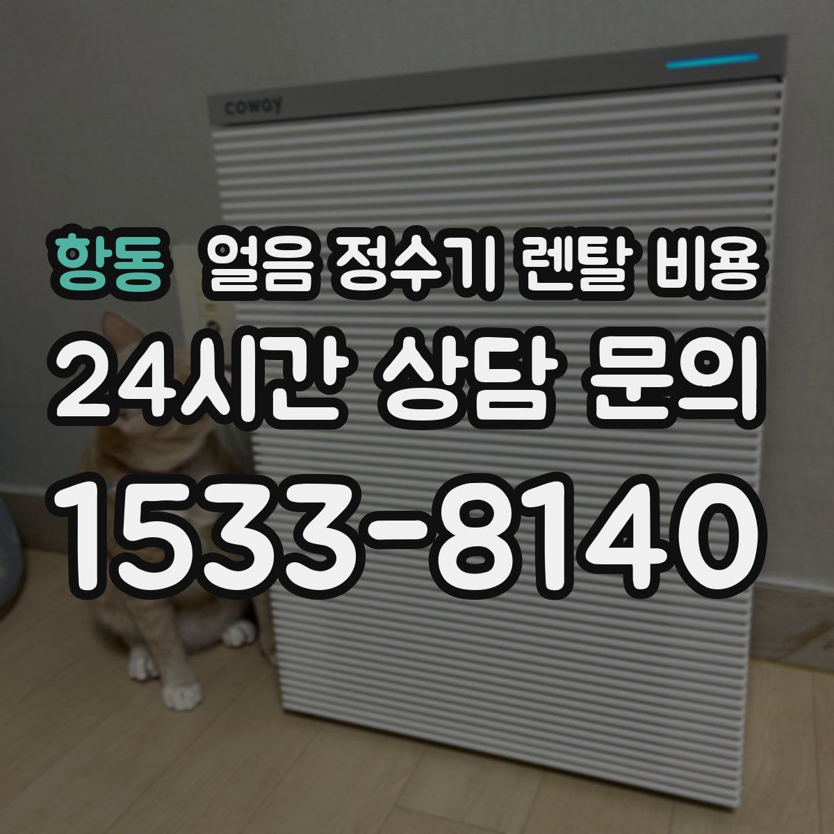 항동 얼음 정수기 렌탈 비용