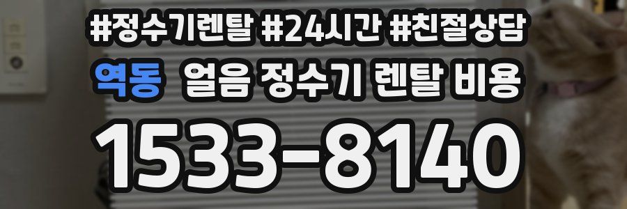 역동 얼음 정수기 렌탈 비용