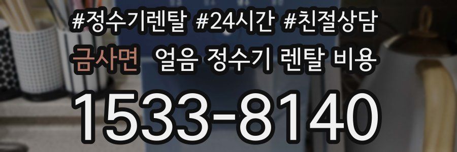 금사면 얼음 정수기 렌탈 비용