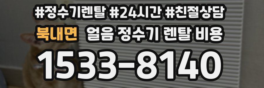 북내면 얼음 정수기 렌탈 비용