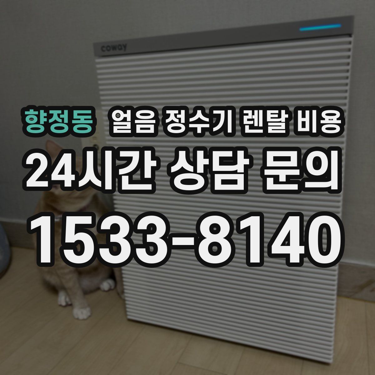 향정동 얼음 정수기 렌탈 비용