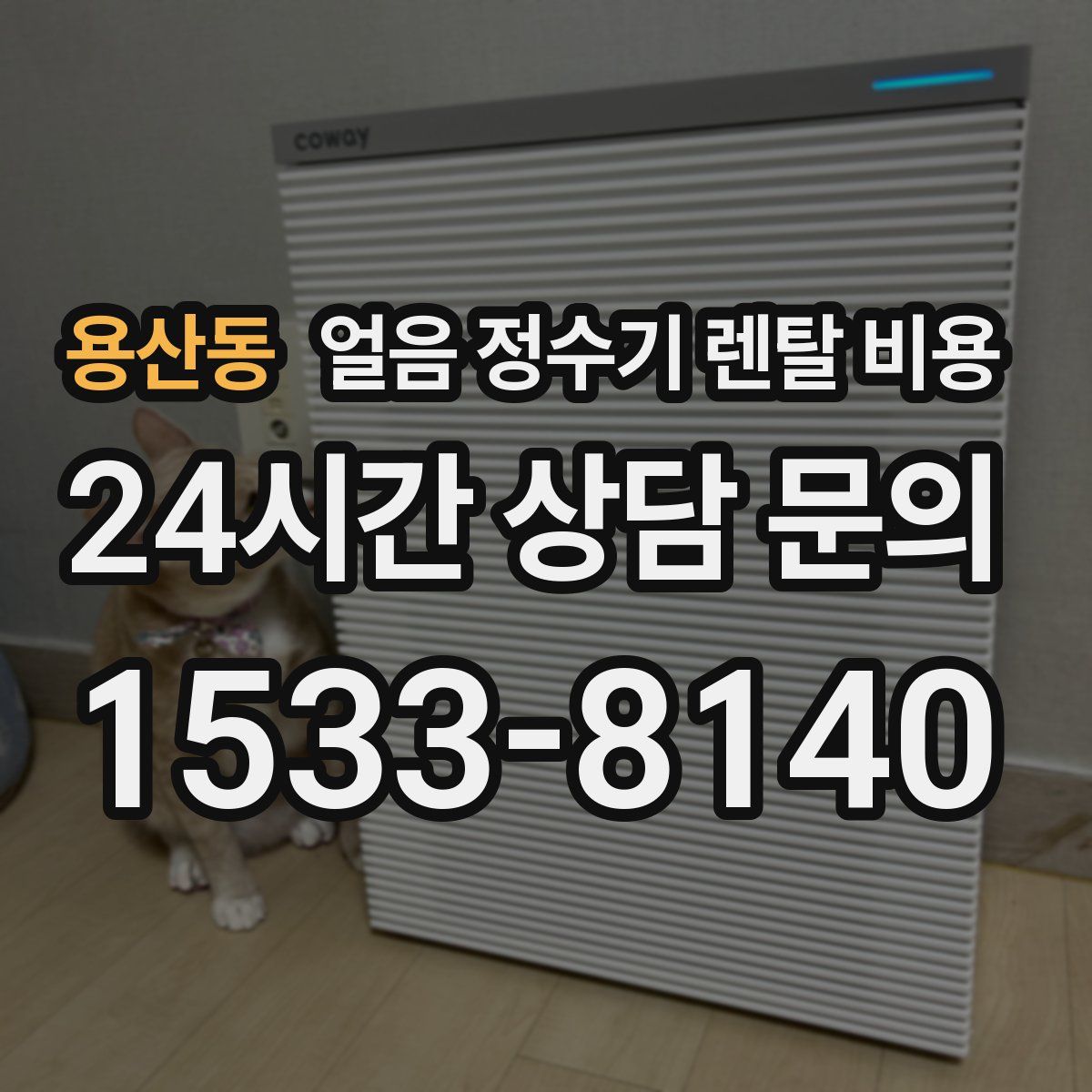 용산동 얼음 정수기 렌탈 비용