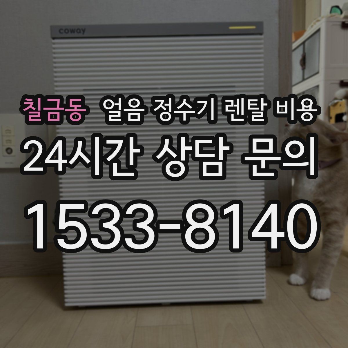 칠금동 얼음 정수기 렌탈 비용 후기 볼 때 체크해야 할 포인트