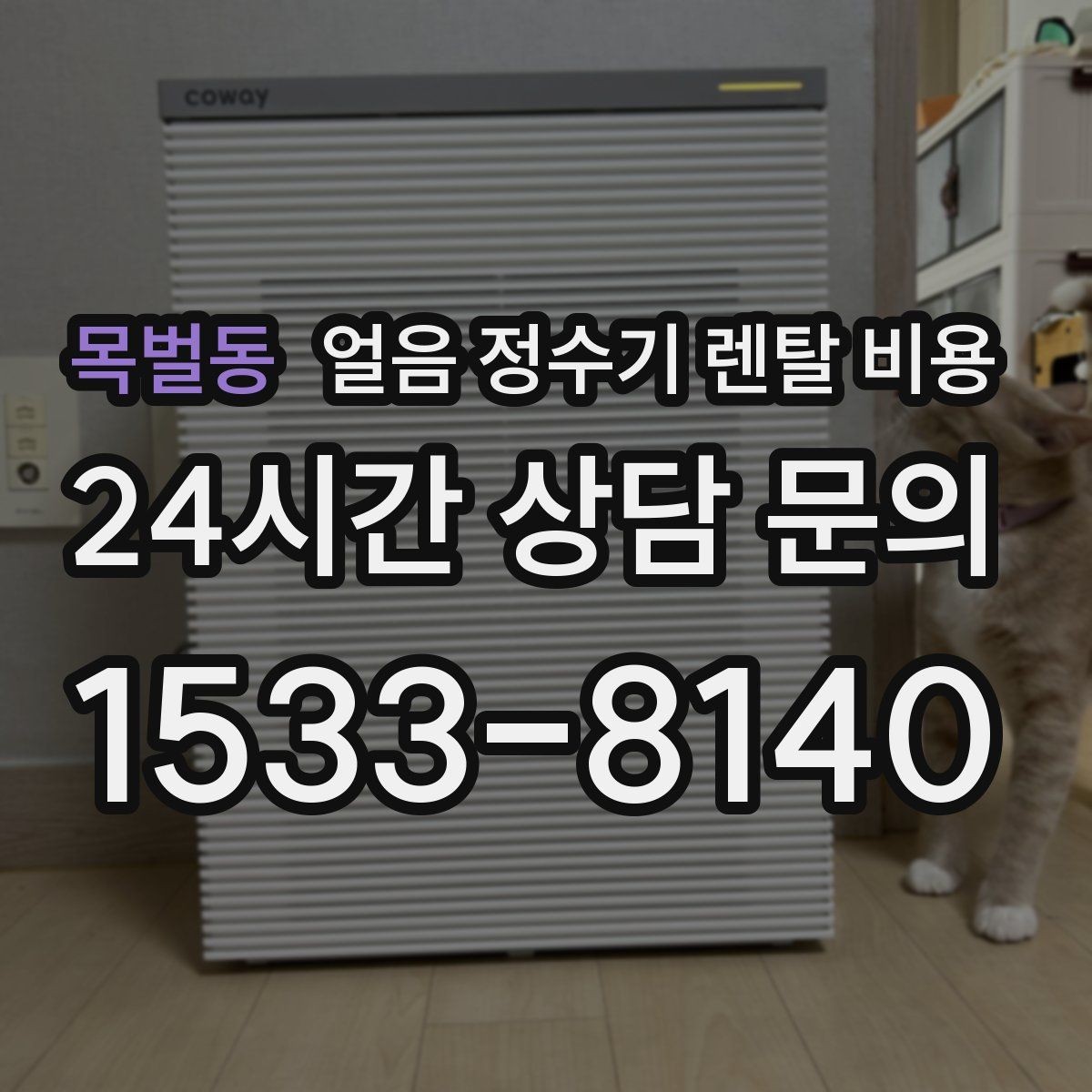 목벌동 얼음 정수기 렌탈 비용 전기료까지 고려해야 하는 이유
