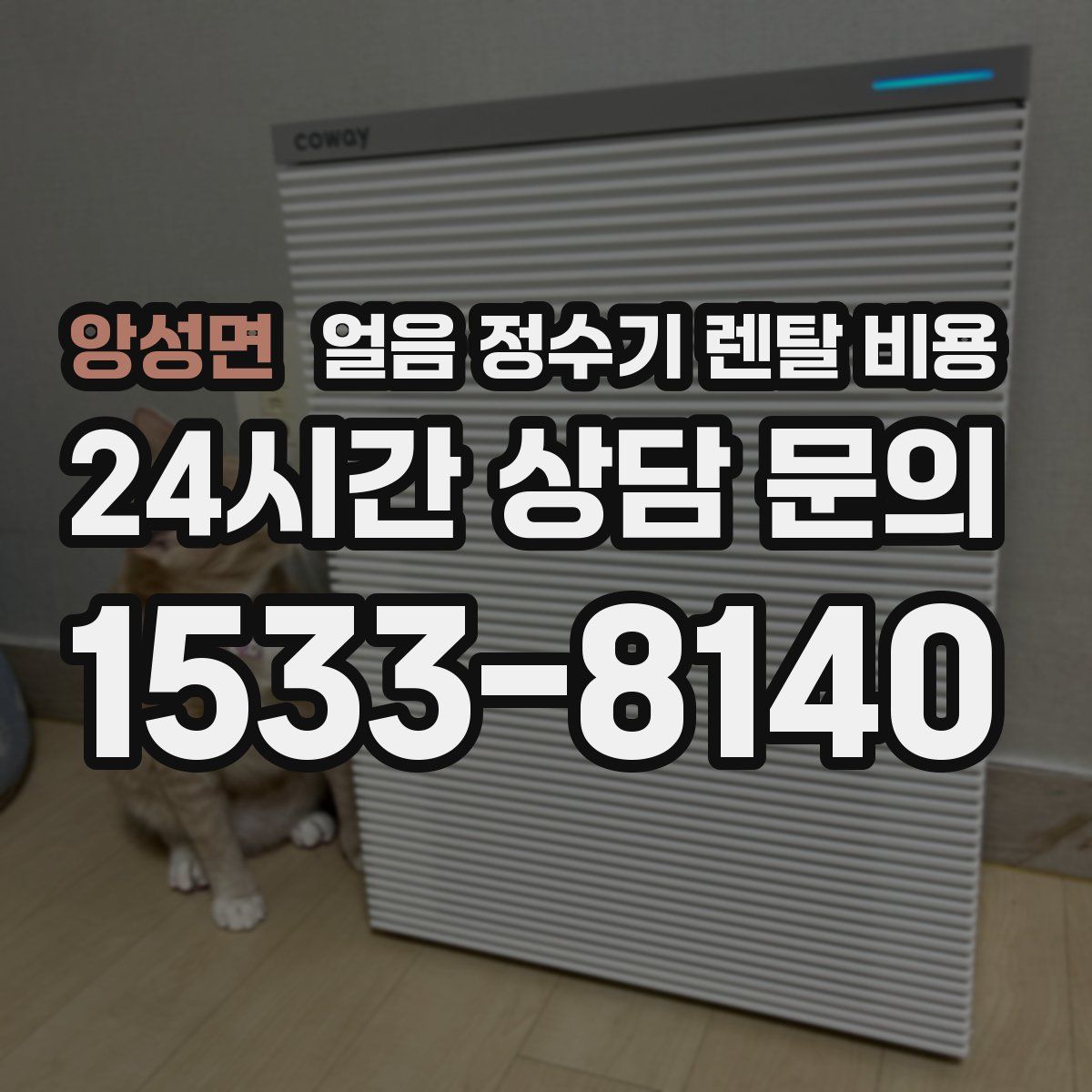 앙성면 얼음 정수기 렌탈 비용