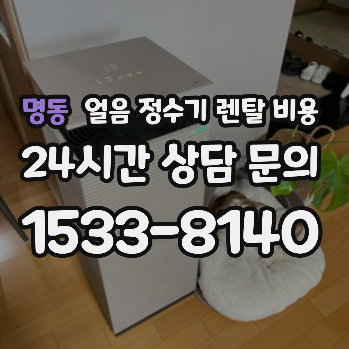 명동 얼음 정수기 렌탈 비용