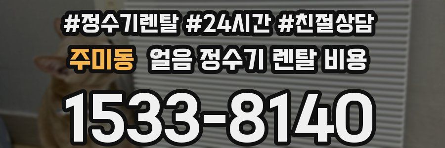 주미동 얼음 정수기 렌탈 비용