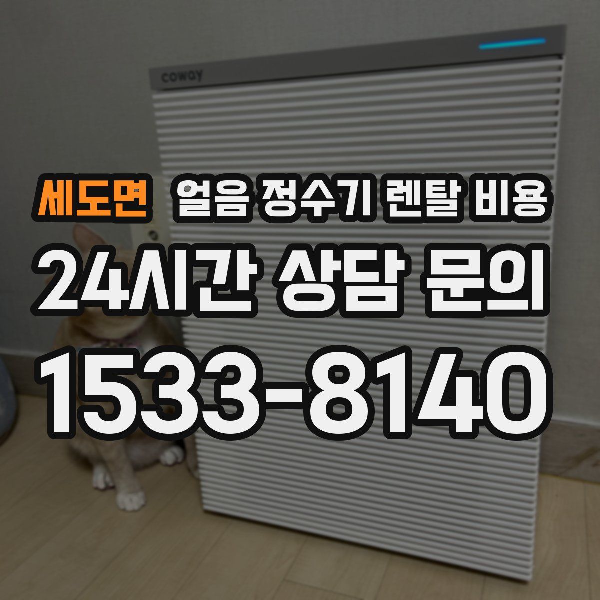 세도면 얼음 정수기 렌탈 비용