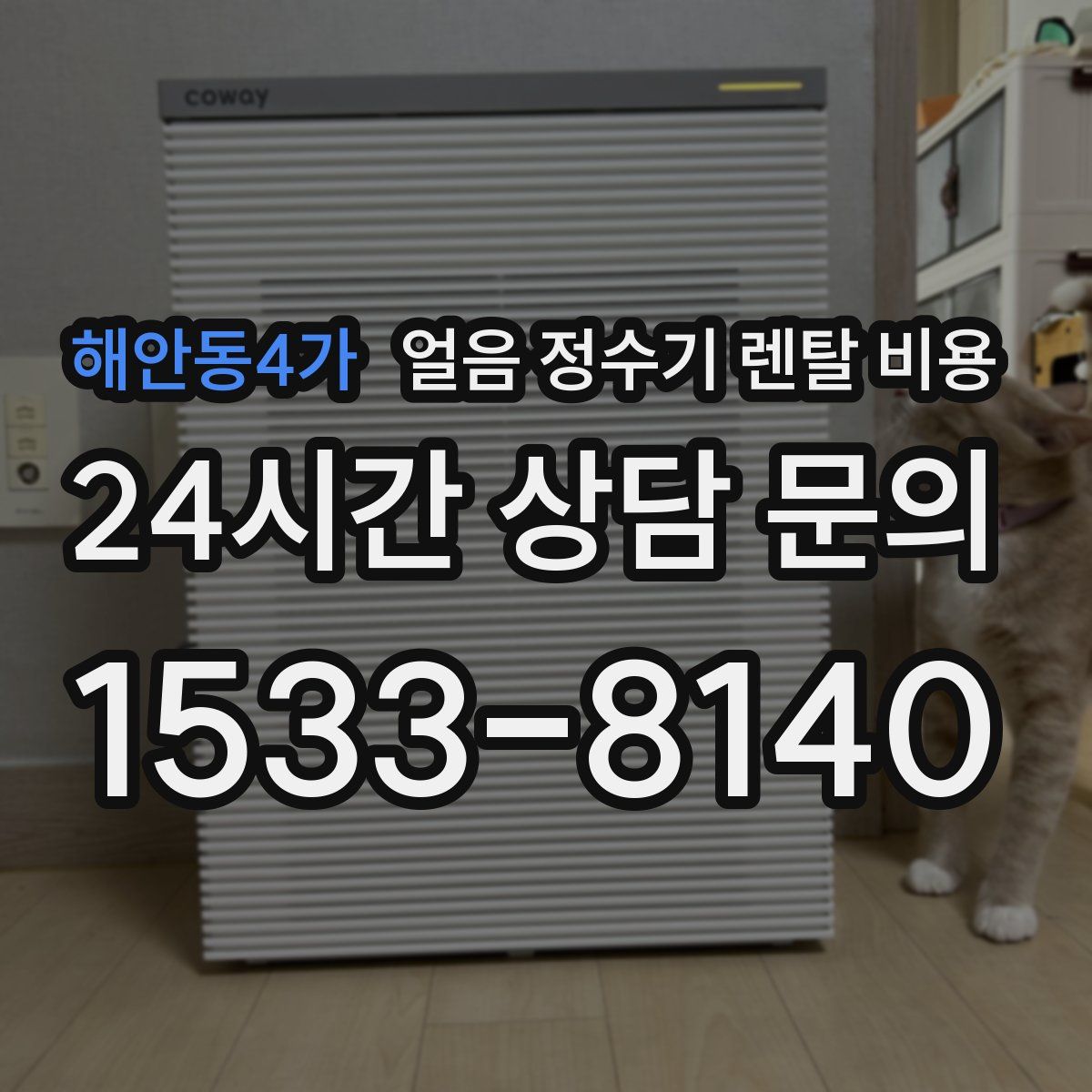 해안동4가 얼음 정수기 렌탈 비용