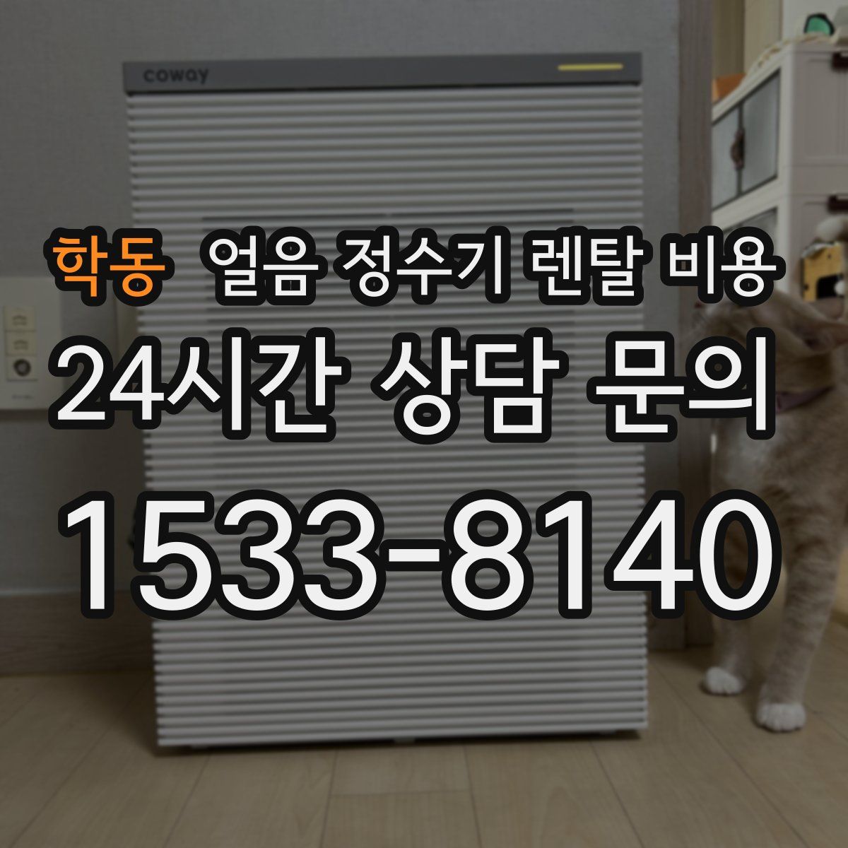 학동 얼음 정수기 렌탈 비용