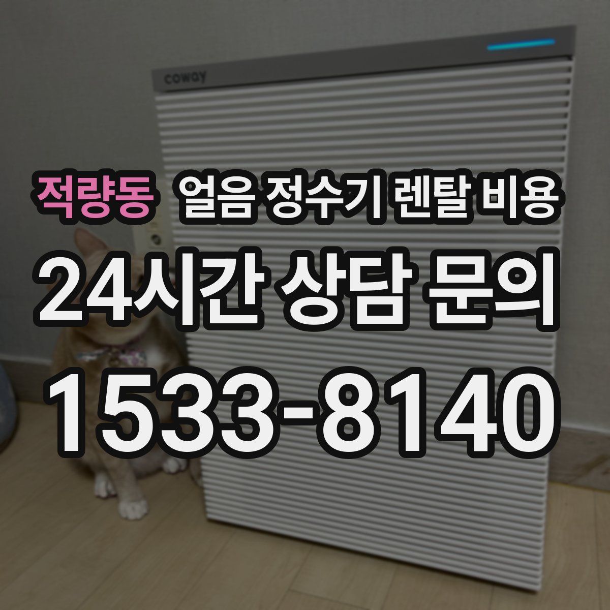 적량동 얼음 정수기 렌탈 비용